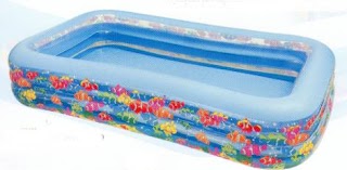bể bơi hình chữ nhật cá biển màu xanh dương 1850000 VND